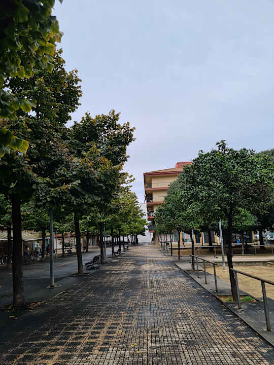 Sonstiges Hotel Kaktus Playa