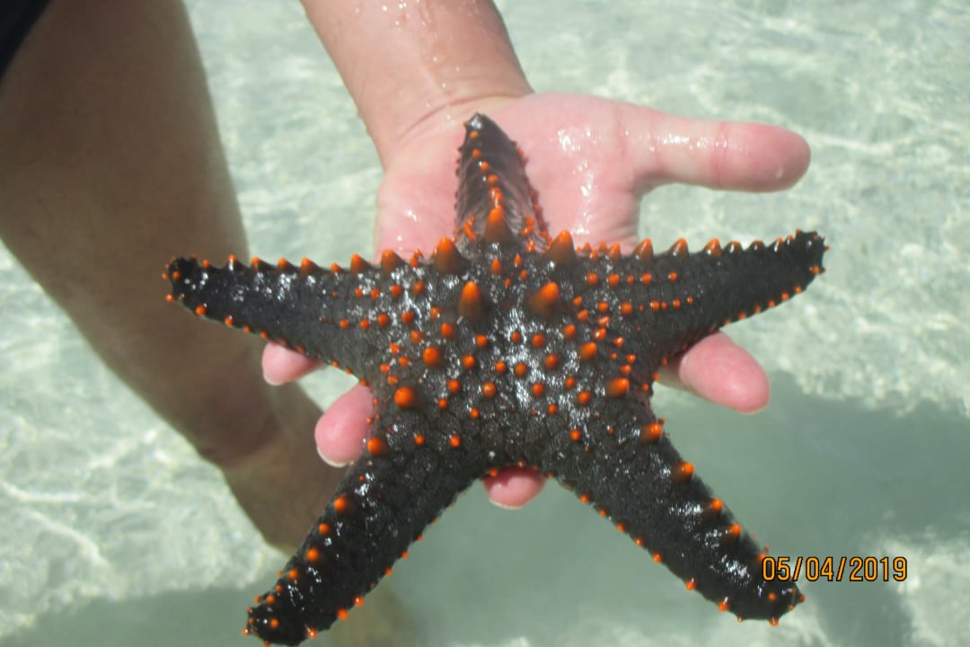 Strand Neptune Village Beach Resort & Spa