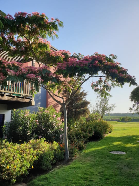 Außenansicht ROBINSON QUINTA DA RIA