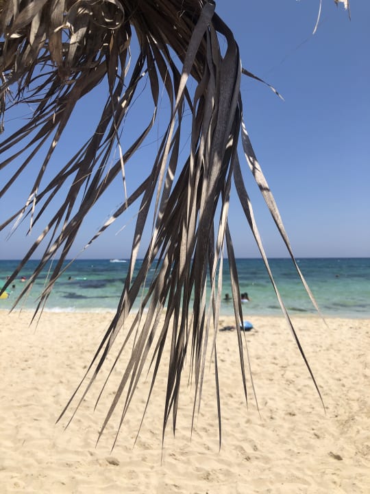 Strand Asterias Beach