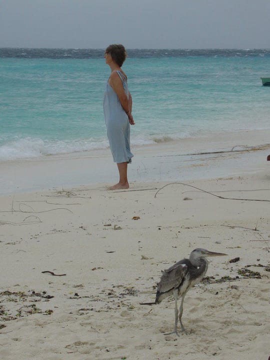 Mensch und Tier Eri Maldives