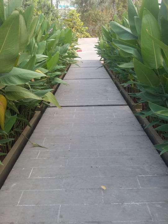 Garden area Amari Hua Hin