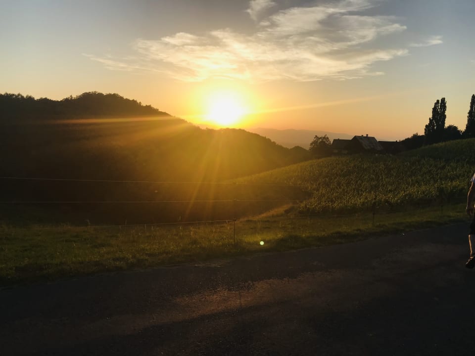Ausblick Hotel Winzerzimmer Rothschädl