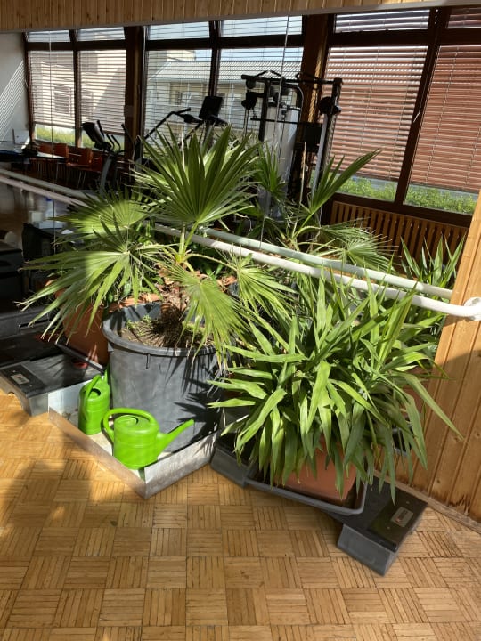 Sonstiges Vitalhotel König am Park