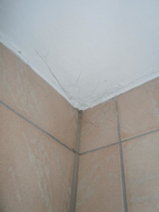 Saubere Ecken 2 Sonnenwald Hotel