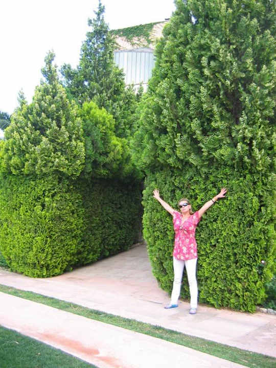 Сад Limak Limra Hotel & Resort