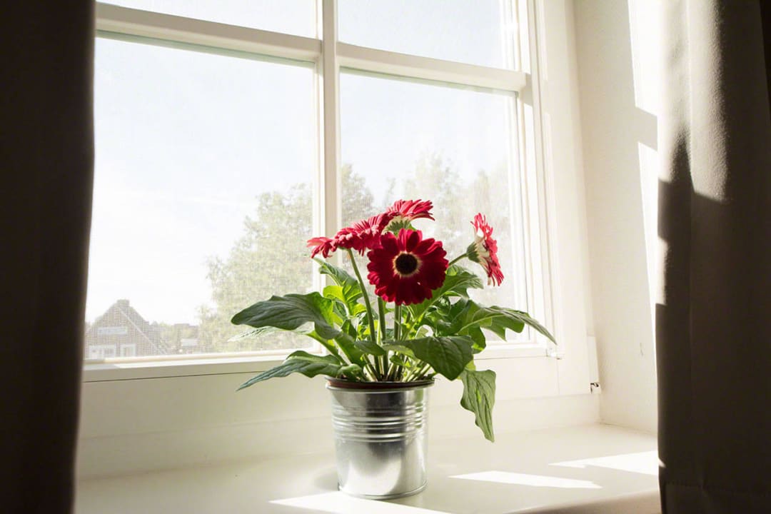 Schlafzimmer 1 oben Ferienwohnung Krabbenkorb Greetsiel