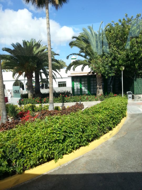 Canary Garden club Canary Garden Club