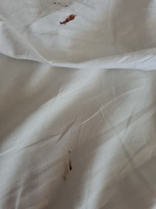 Zimmer BLUESEA Complejo Puerto Resort (Canarife y Bonanza Palace))