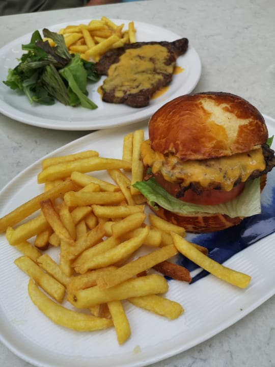 Gastro Acanthus Cennet Barut Collection