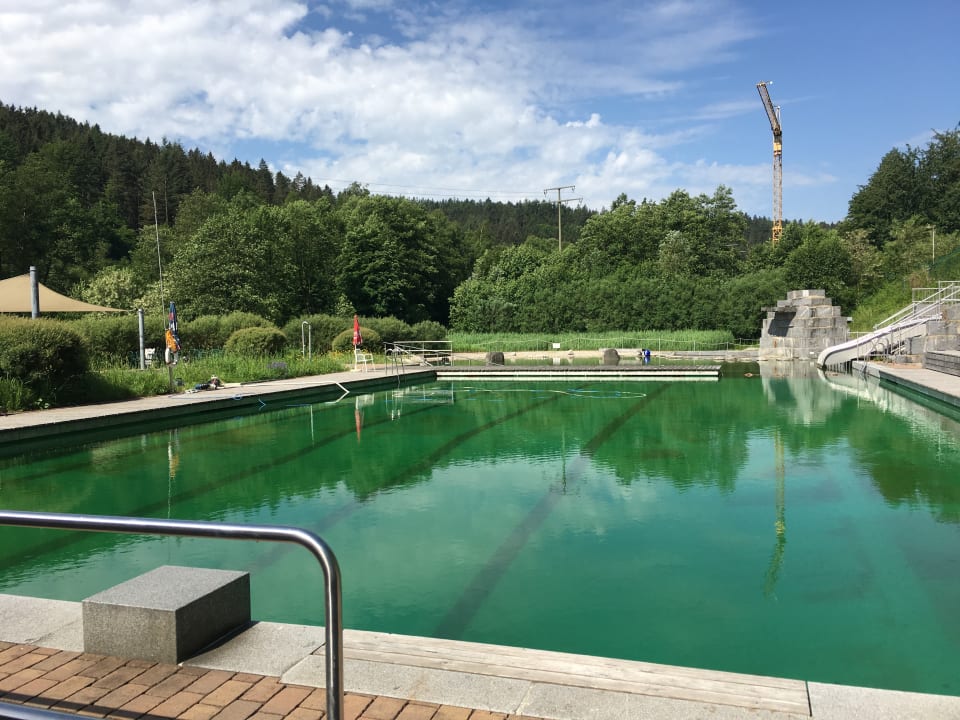 Pool Flair Hotel Hochspessart