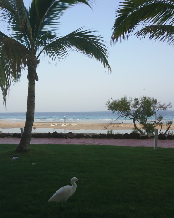 Ausblick Iberostar Selection Fuerteventura Palace