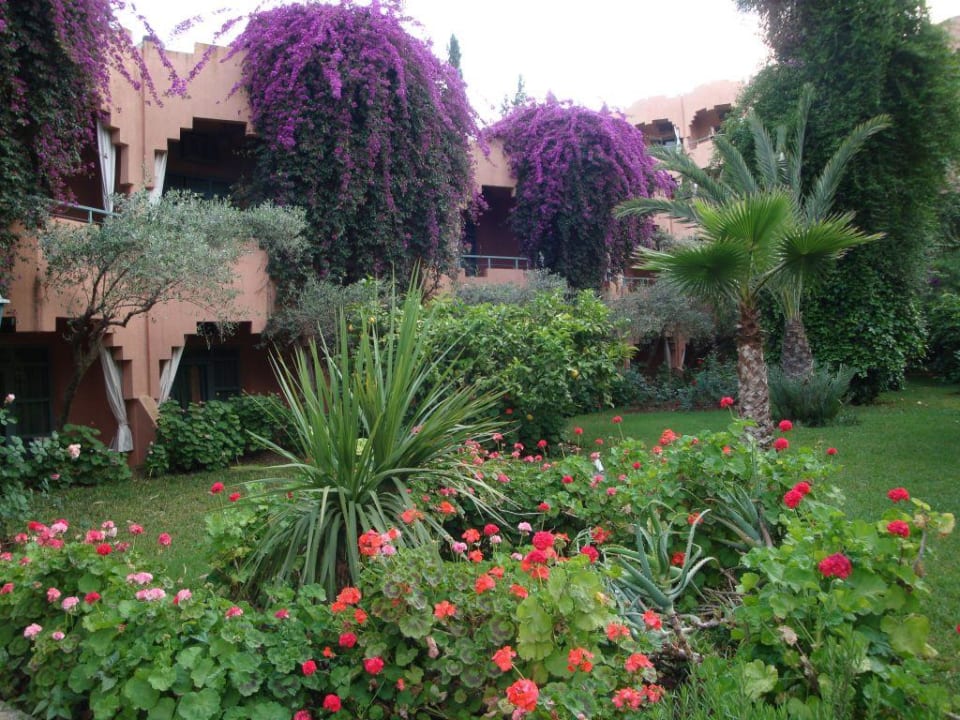 Hotelgarten Hotel Le Tazarkount