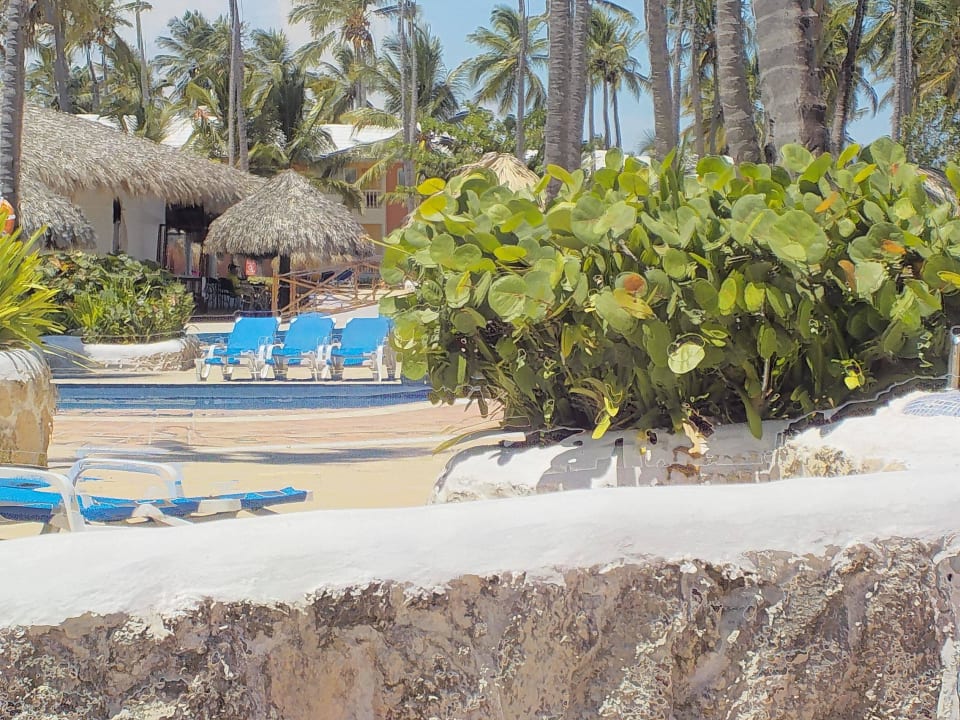 Am Pool Grand Sirenis Punta Cana Resort & Aquagames