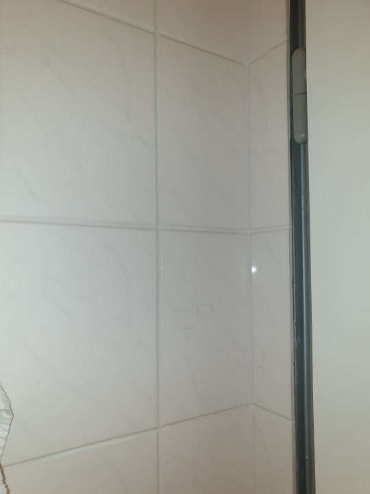 Zimmer ACHAT Hotel Dresden Elbufer