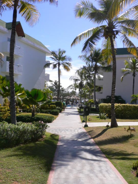 Hotel Hotel Isla Caribe Beach