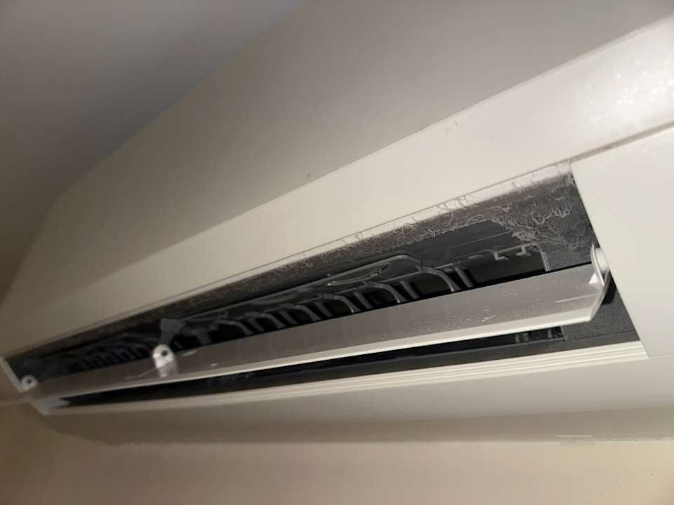 Zimmer Kamelya Aishen Club