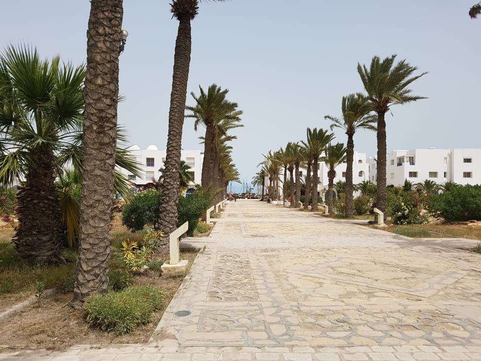 Gartenanlage Calimera Yati Beach