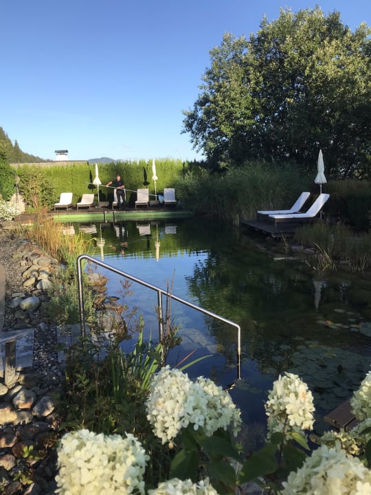Pool Hotel Kaiserhof