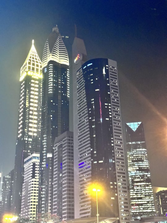 Ausblick Rose Rayhaan by Rotana