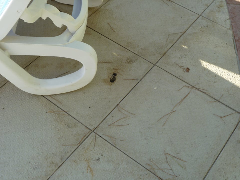 Wann wurde hier wohlzuletzt geputzt? Ephesia Holiday Beach Club