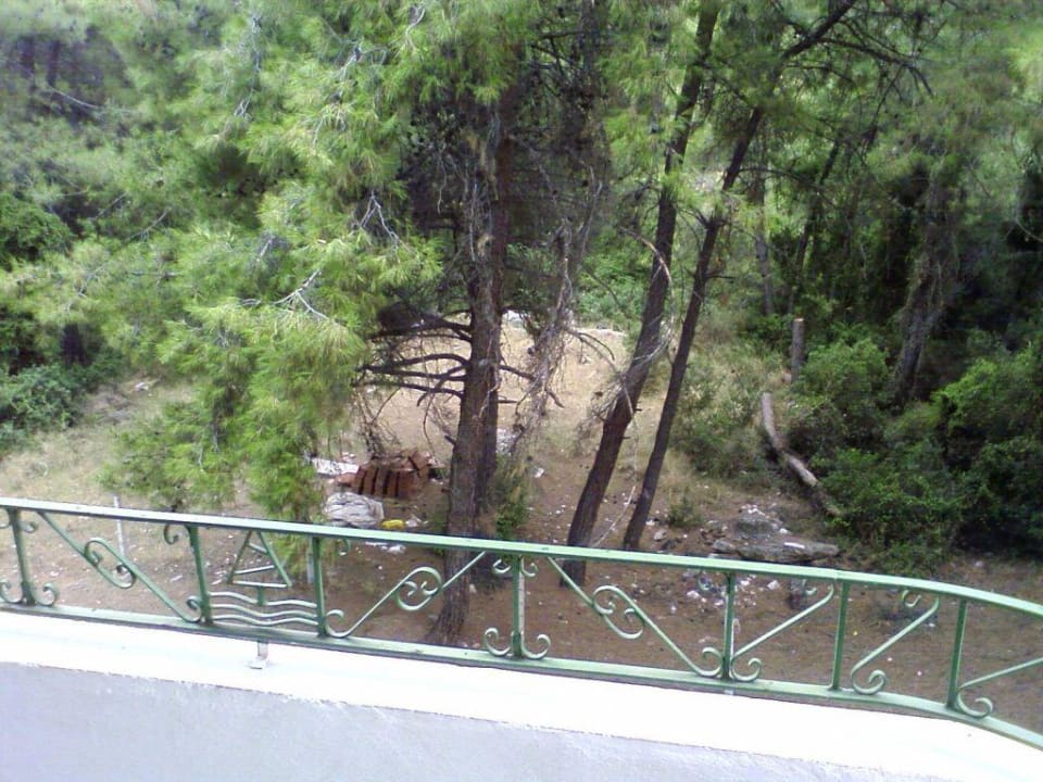 Widok z balkonu Club Hotel Pineta