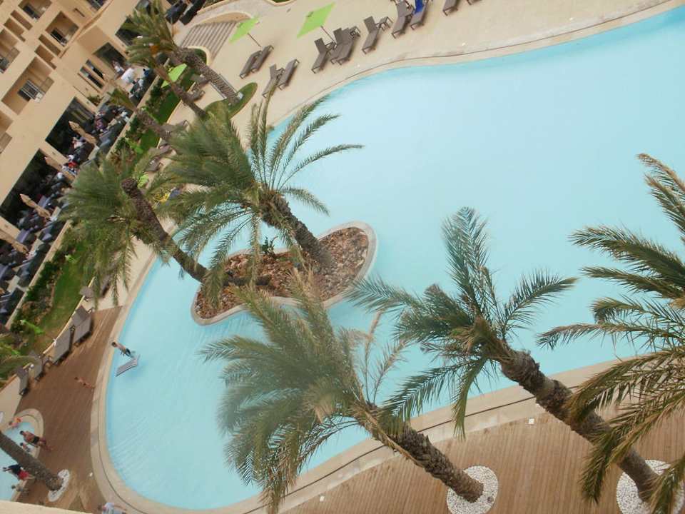 Ausblick aus dem Zimmer auf den Pool Hotel Rosa Beach