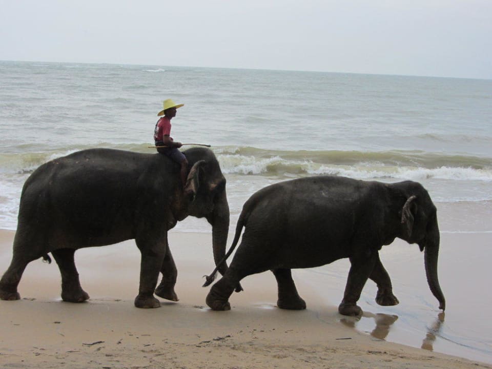 Strand Khao Lak Merlin Resort