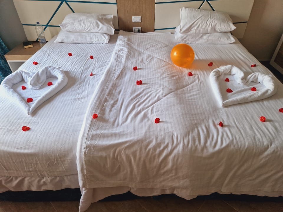 Zimmer Gravity Hotel & Aquapark Sahl Hasheesh