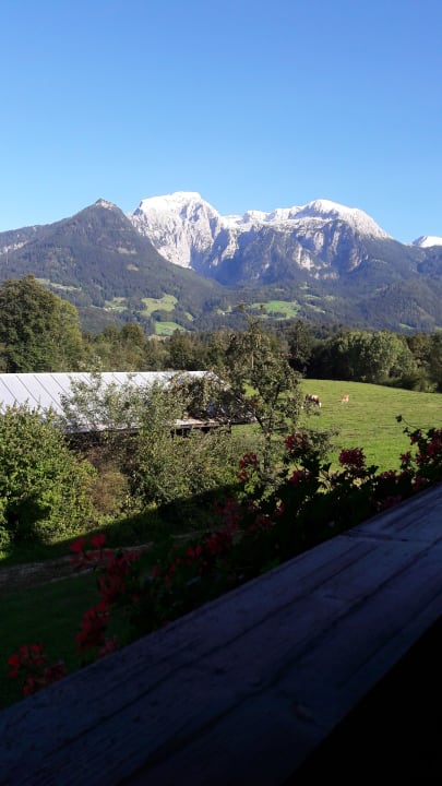 Ausblick Kressenlehen FeWo