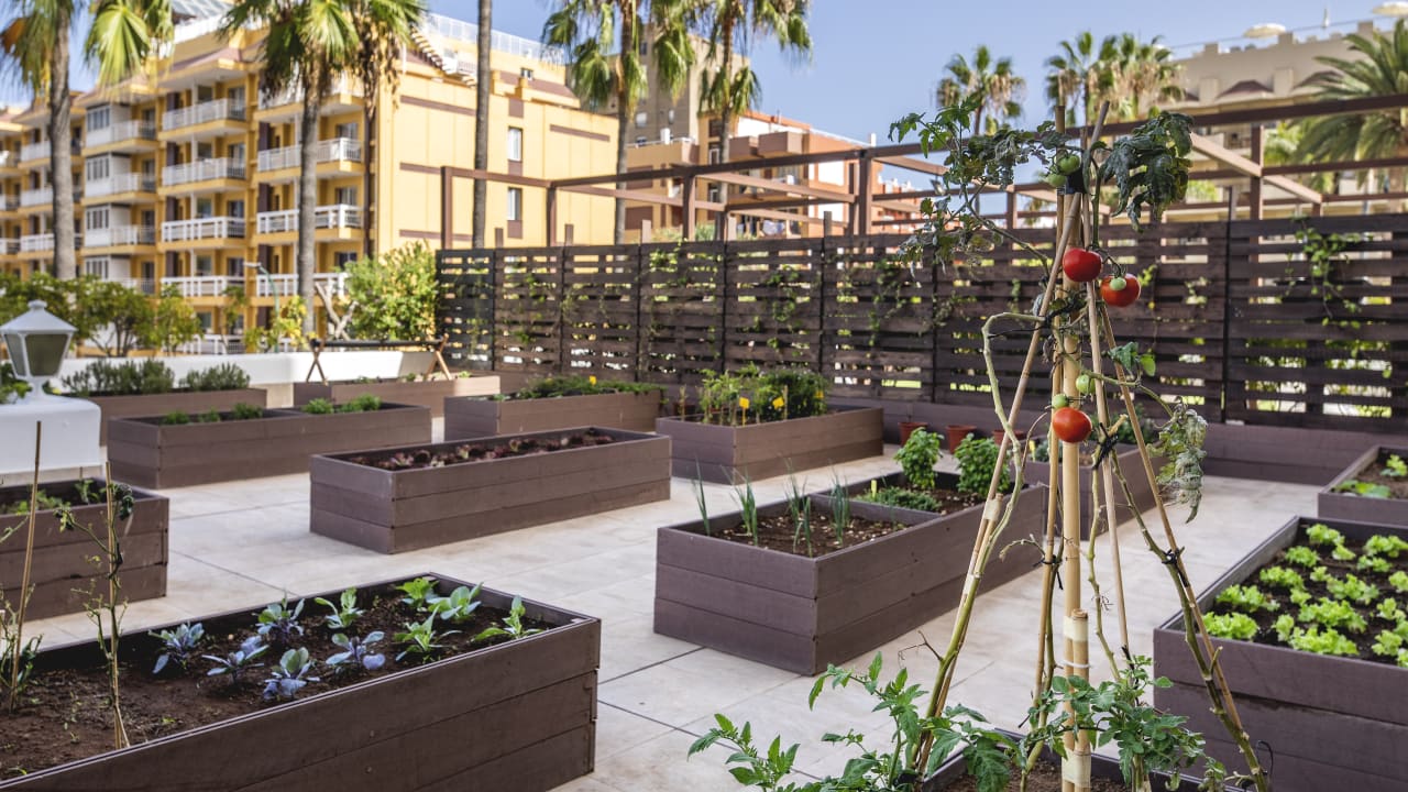 Gartenanlage Be Live Tenerife - Adults only