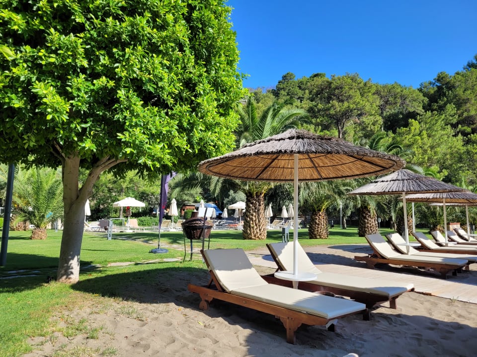 Strand TUI BLUE Seno - Adults Only