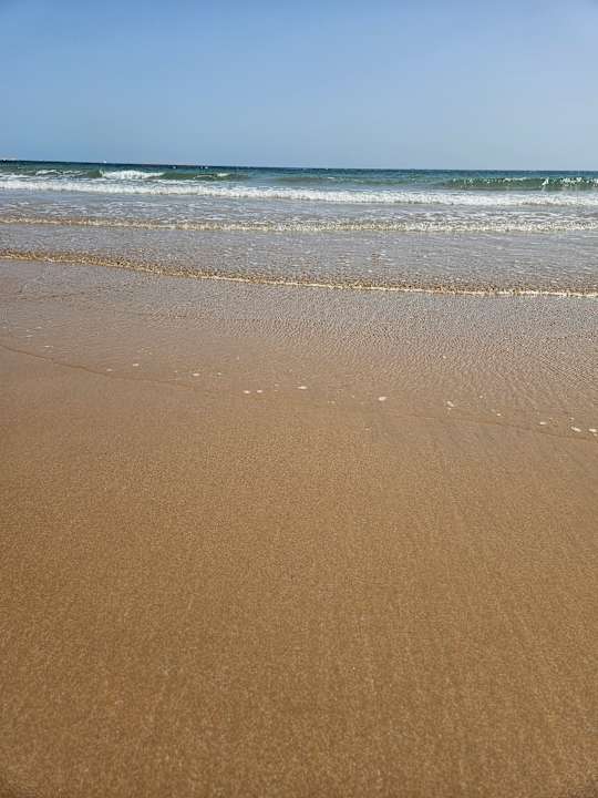 Strand Beach Albatros Resort