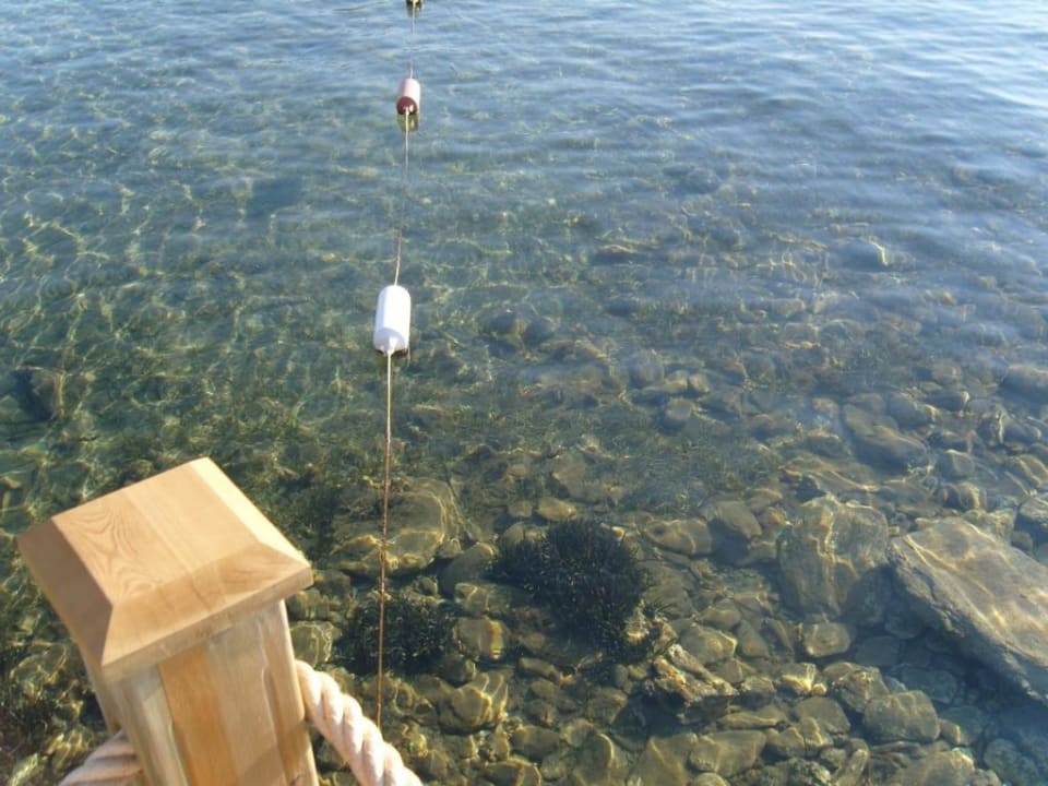 Alles klar! Paloma Pasha