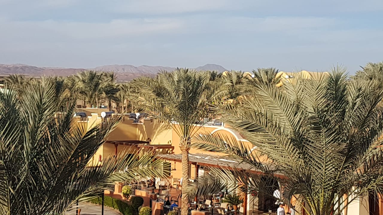 Zimmer Jaz Dar EL Madina