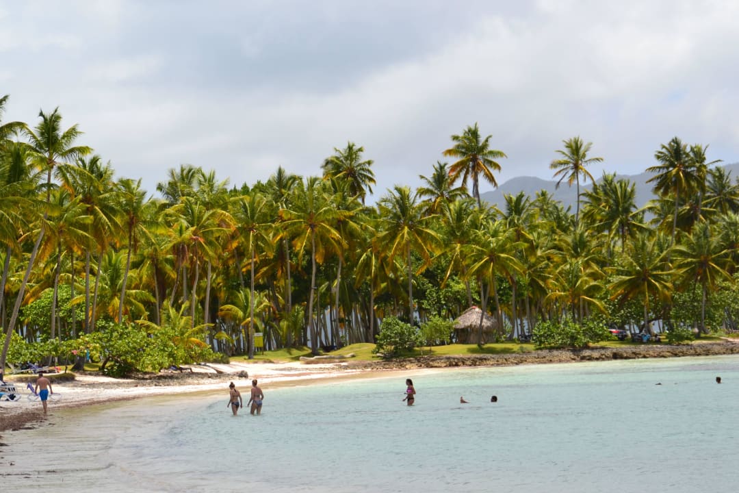 Top. Wyndham Alltra Samana
