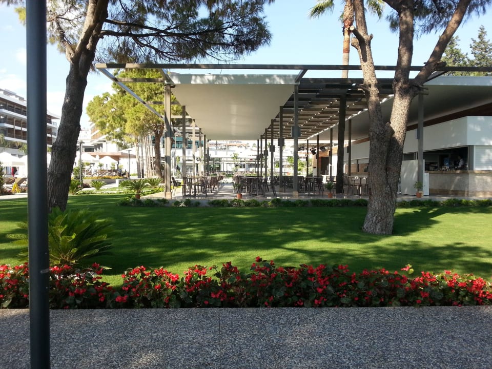 Restaurant Garten Acanthus Cennet Barut Collection