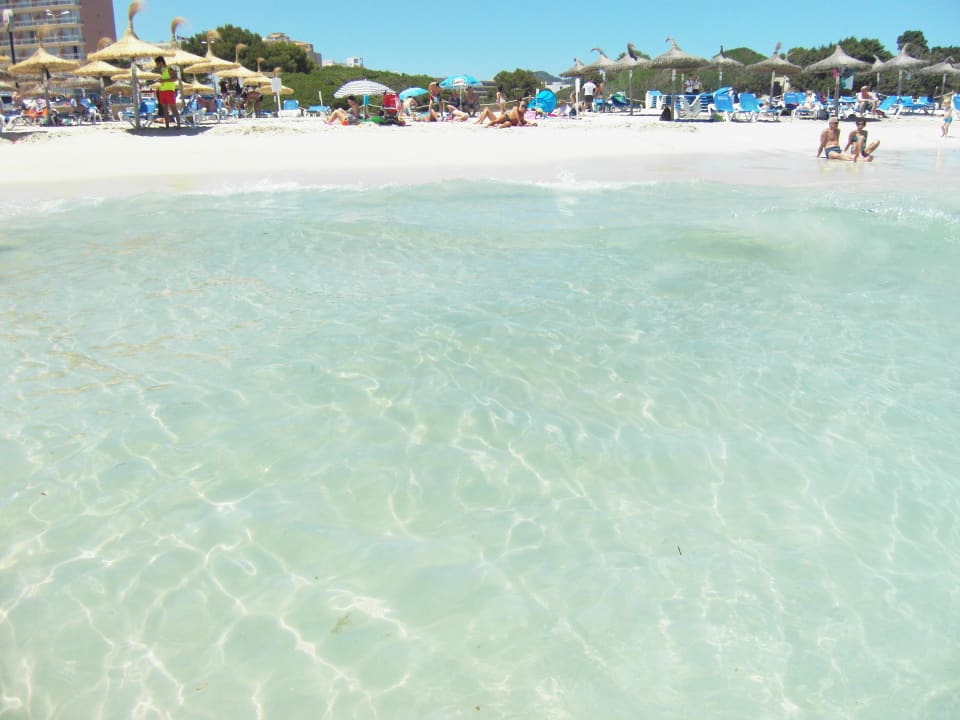 Traumhafter und kinderfreundlicher Strand BJ Apartamentos Club Sa Coma