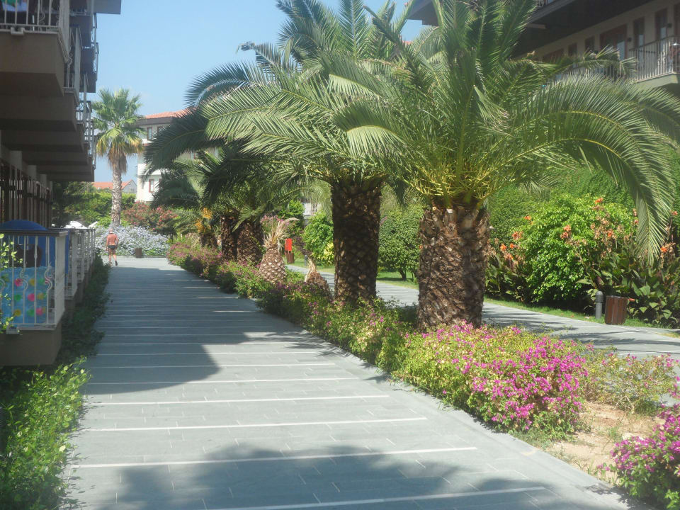 Eingang Hotelanlage Club Grand Side