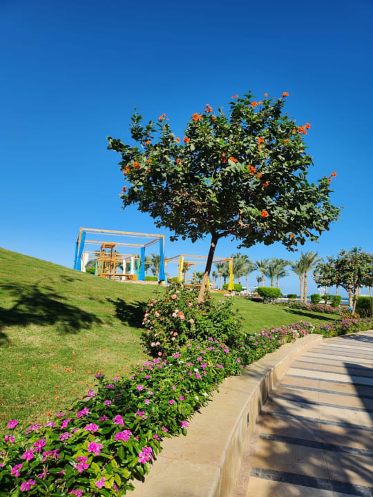 Gartenanlage Hilton Hurghada Plaza