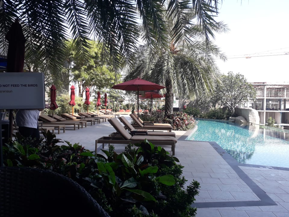 Pool Mercure Pattaya Ocean Resort