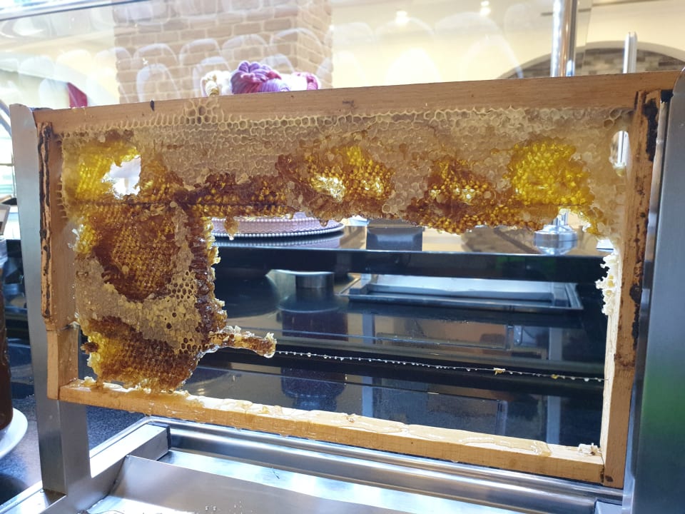 Gastro Hotel Delphin Imperial