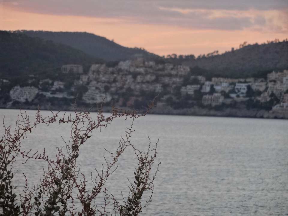Blick Balkon auf Nachbarort Peguera Sentido Fido Punta del Mar – Adults only