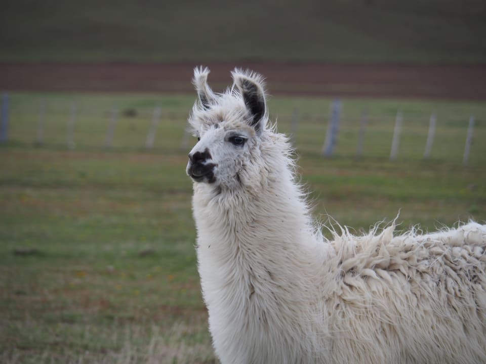 Sonstiges Estancia Río Penitente