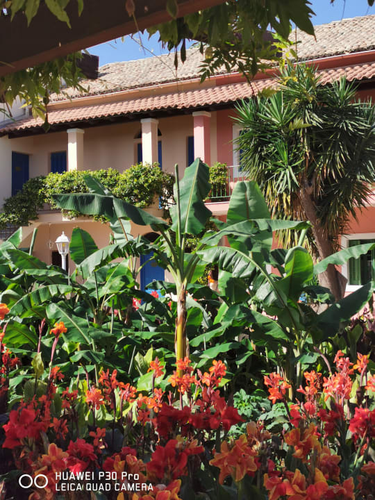 Gartenanlage St. George's Bay Country Club