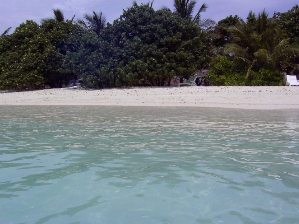 Strandberich von den Wasserbungizimmern Summer Island Maldives