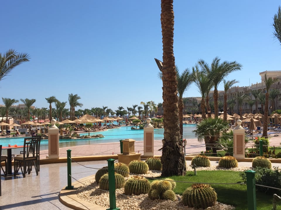 Pool Pickalbatros Palace Resort