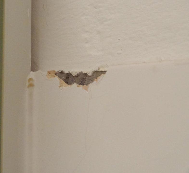 Fliesenbeschädigung Hotel Goldener Hirsch