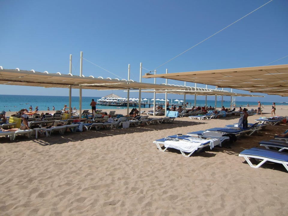 Liegestühle im Schatten Blue Waters Club