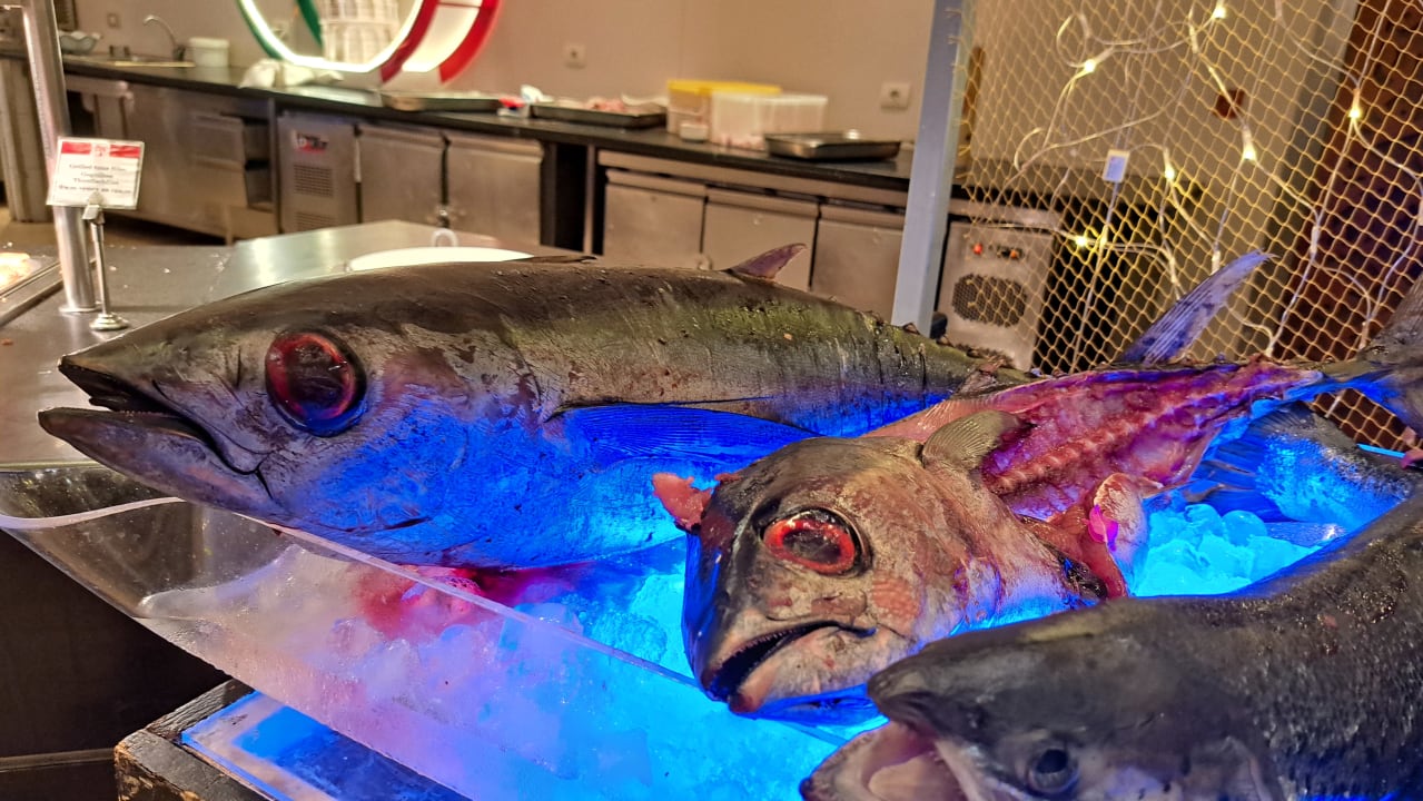 Gastro Cleopatra Luxury Resort Makadi Bay